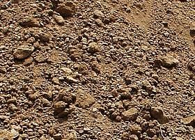 Fill Dirt delivered in bulk