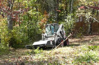 Land Clearing